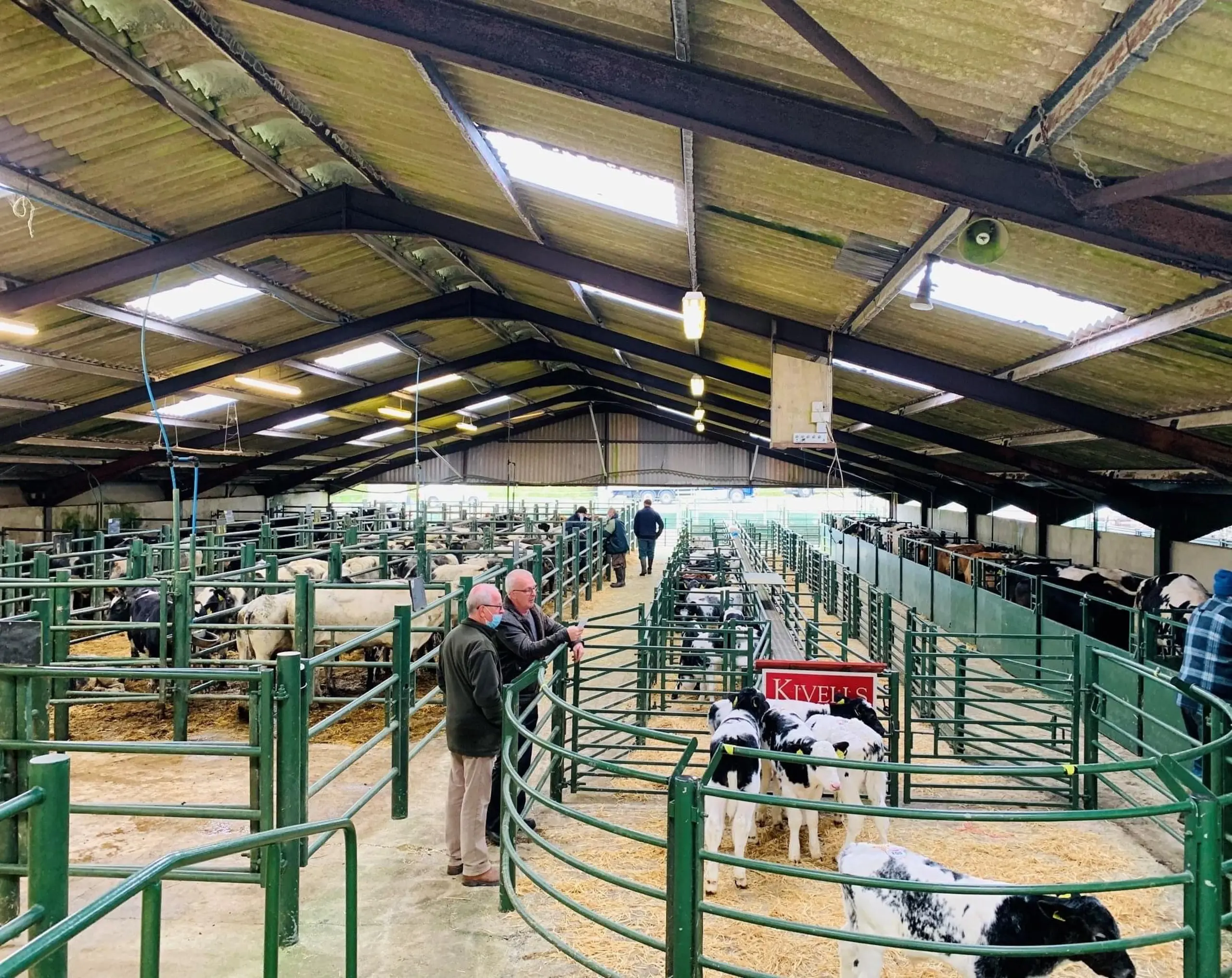 Hallworthy Stockyard