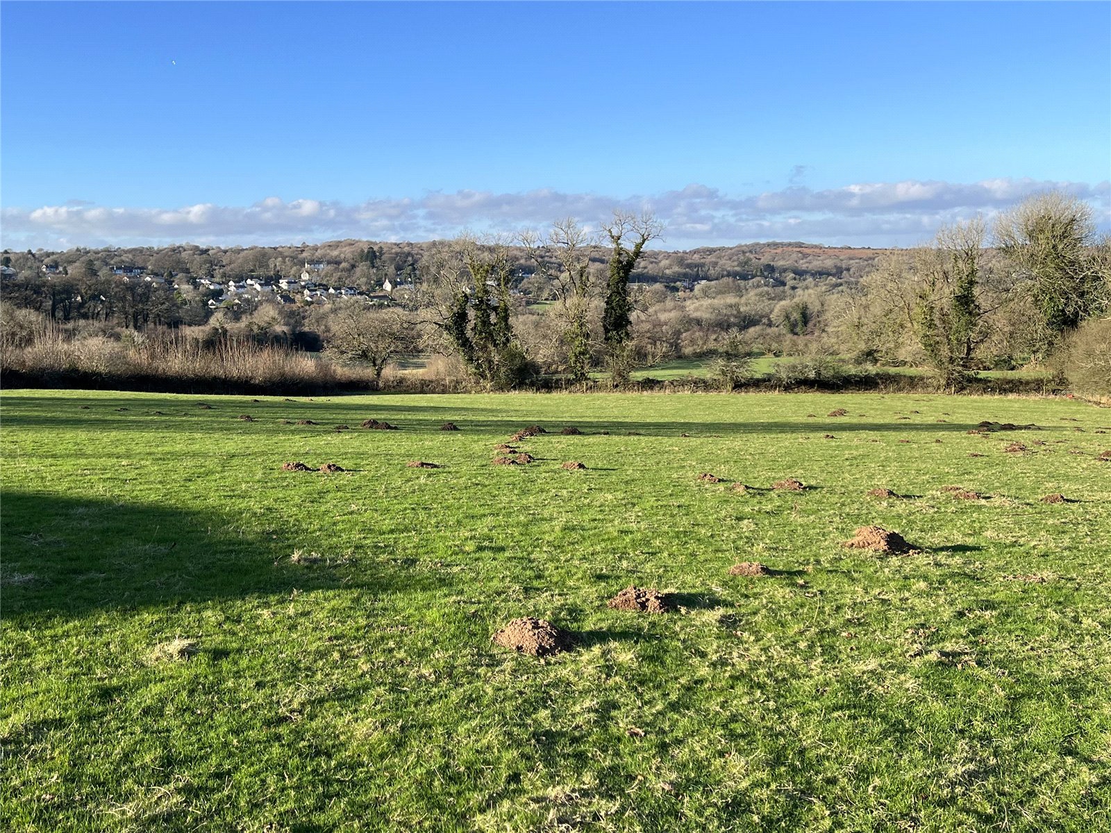 Binkham Farm, Yelverton