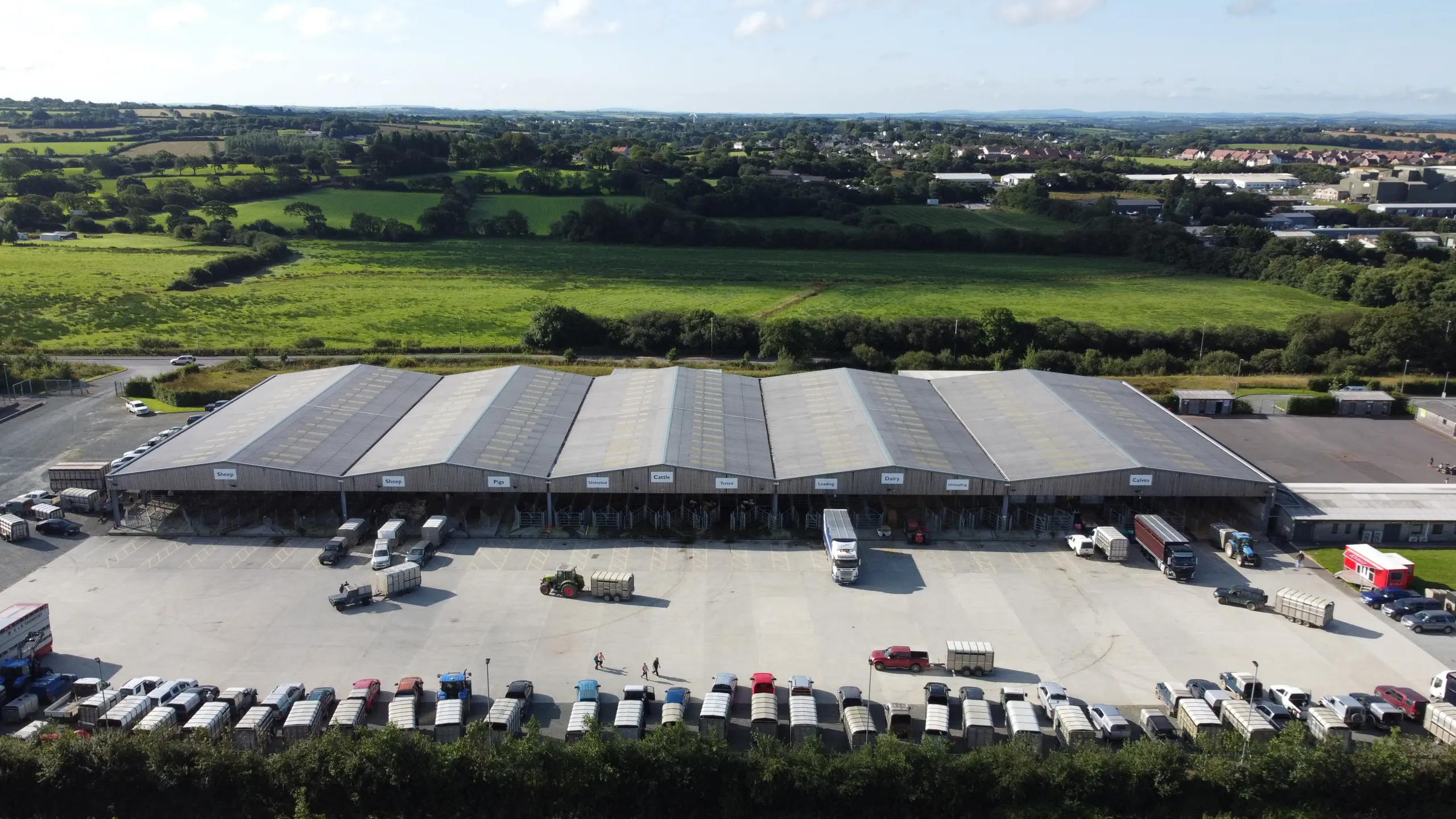 Holsworthy Livestock Market